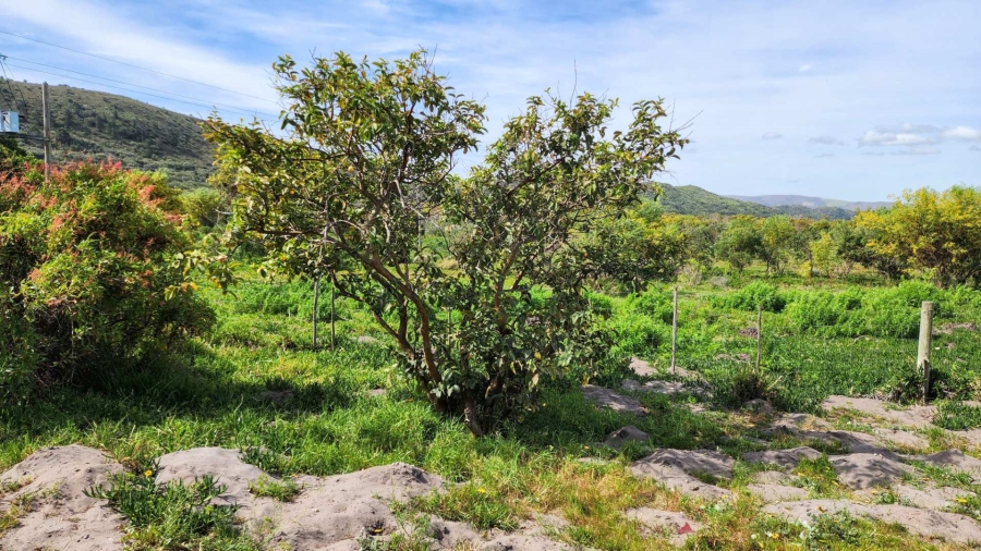 5 Bedroom Property for Sale in Uilenkraalsmond Western Cape